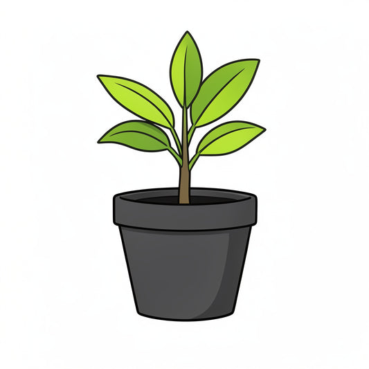 Plant Pot (Indoor)